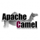 日本のApache Camelトレーニング